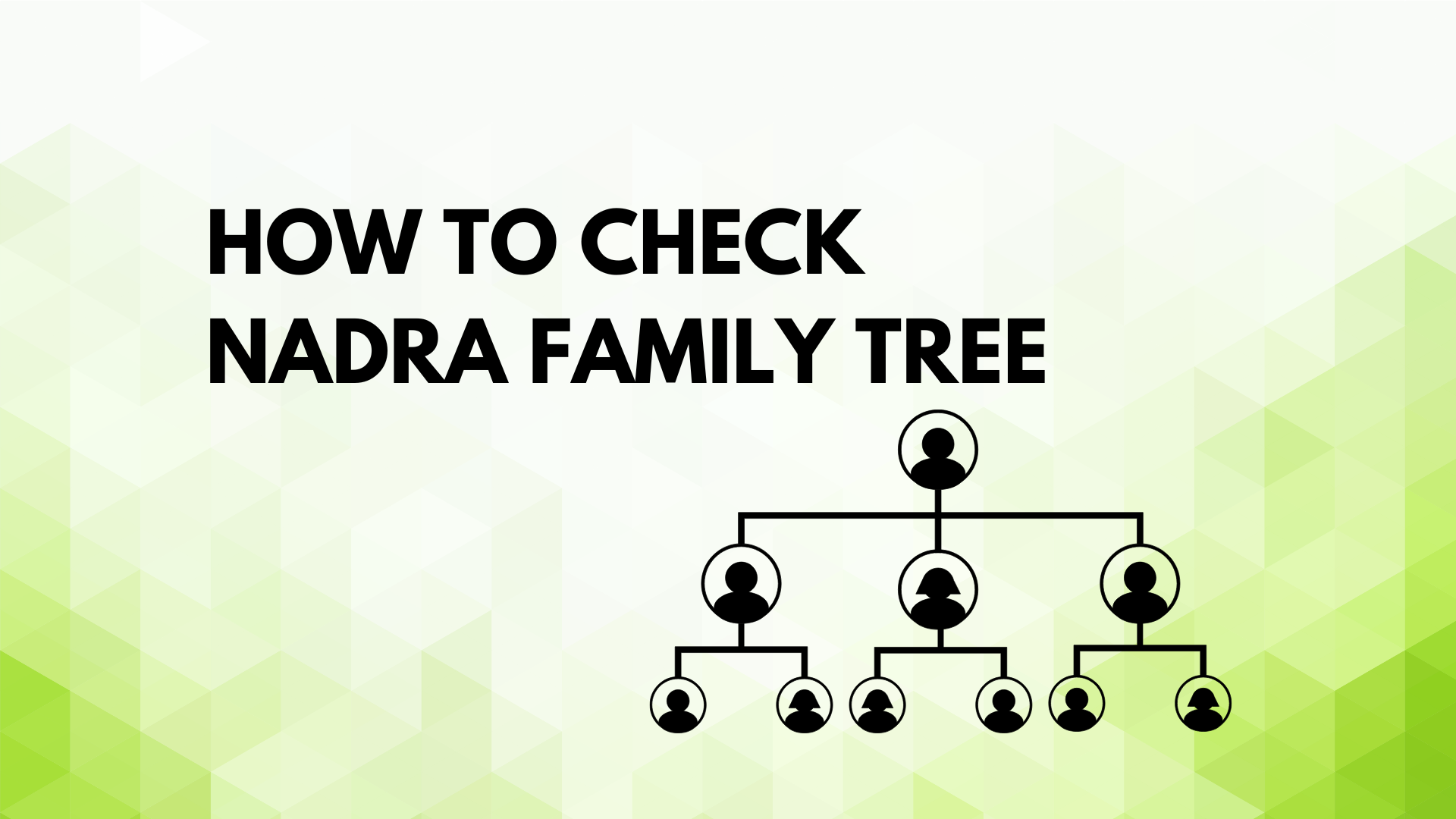 How to check nadra family tree? A Step-by-Step Guide